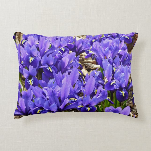 Katherine Hodgkin Irises Lila Frühlingsfloral Dekokissen (Vorderseite)