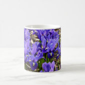 Katherine Hodgkin Irises Lila Frühlingsfloral Kaffeetasse (Mittel)