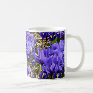 Katherine Hodgkin Irises Lila Frühlingsfloral Kaffeetasse