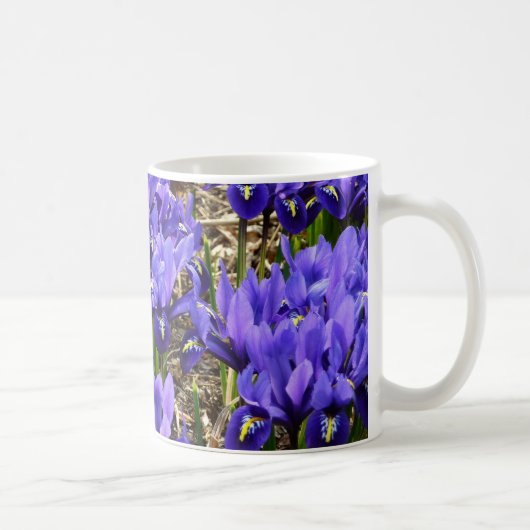 Katherine Hodgkin Irises Lila Frühlingsfloral Kaffeetasse (Rechts)