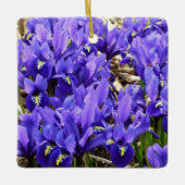 Katherine Hodgkin Irises Lila Frühlingsfloral Keramikornament (Vorderseite)