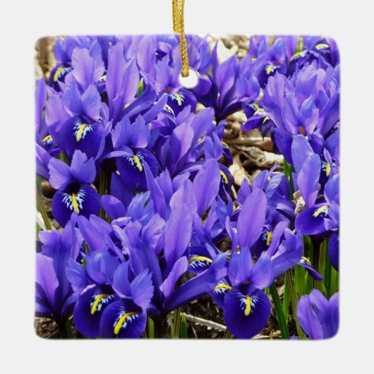 Katherine Hodgkin Irises Lila Frühlingsfloral Keramikornament (Vorderseite)