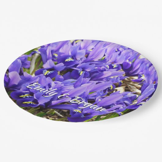 Katherine Hodgkin Irises Lila Frühlingsfloral Pappteller (Schrägansicht)