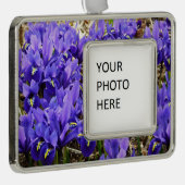 Katherine Hodgkin Irises Lila Frühlingsfloral Rahmen-Ornament Silber (Rechts)
