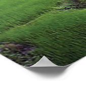 Kathmandu River Rice Terace Poster (Ecke)