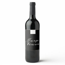 Katholischer Priester Clergy Traditionelles römisc