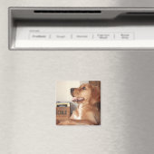 Katie Magnet (In Situ (Geschirrspüler))