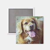 Katie Old Magnet (Vorderseite/Rückseite)