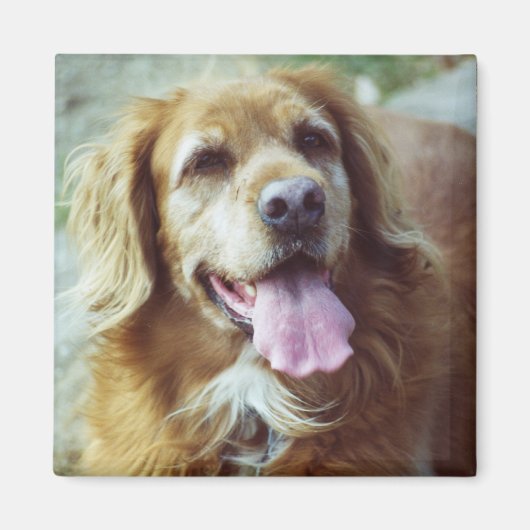 Katie Old Magnet (Vorne)