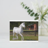 Katie Running Postkarte (Stehend Vorderseite)