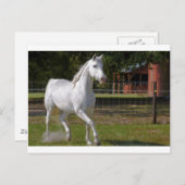 Katie Running Postkarte (Vorne/Hinten)