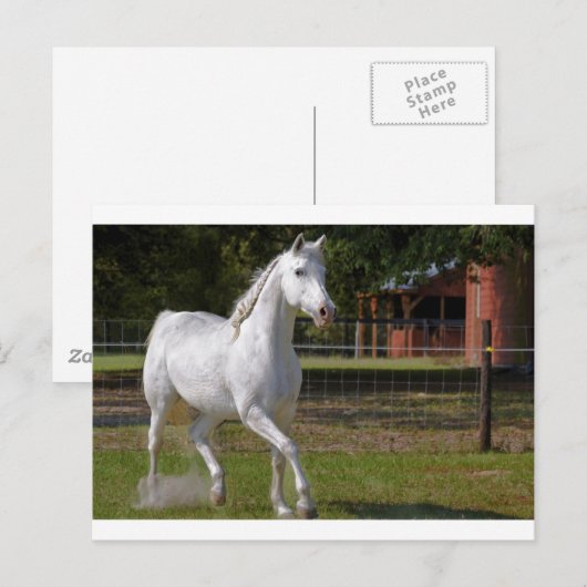 Katie Running Postkarte (Vorne/Hinten)