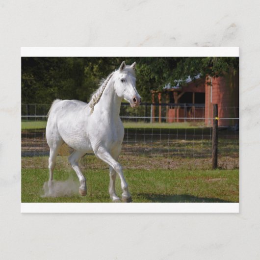 Katie Running Postkarte (Vorderseite)