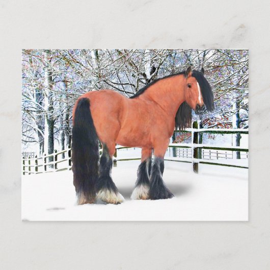 "Katie Scarlett" Postkarte (Vorderseite)