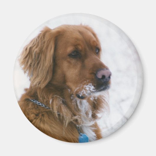 Katie Snowy Magnet (Vorne)