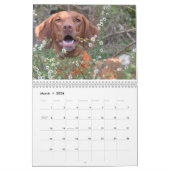 Katie Vizsla 2012 Kalender (Mär 2026)