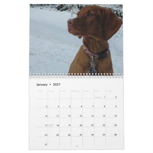 Katie Vizsla 2012 Kalender (Jan 2027)