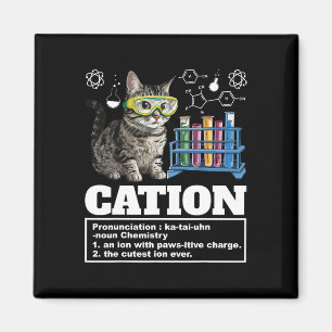 Kation Chemie Humor Wissenschaftslehrer Katze Wort Magnet