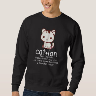 Kation Katzen Ion Wissenschaft Pawsitive Wortspiel Sweatshirt