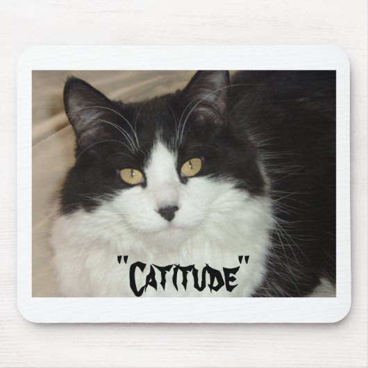 Katitude Katze mit Haltung Mousepad (Vorne)