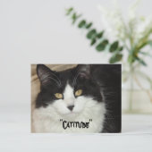 Katitude Katze mit Haltung Postkarte (Stehend Vorderseite)
