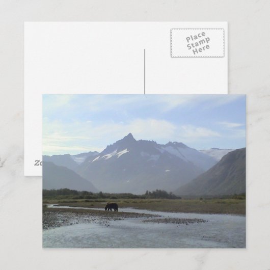 Katmai Brown Bear Postkarte (Vorne/Hinten)