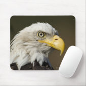 Katmai National Park, Alaska Mousepad (Mit Mouse)
