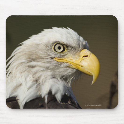 Katmai National Park, Alaska Mousepad (Vorne)