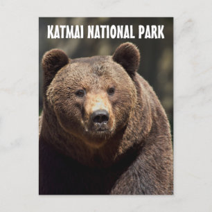 KATMAI NATIONAL PARK GRIZZLY BEAR POSTCARDS POSTKARTE