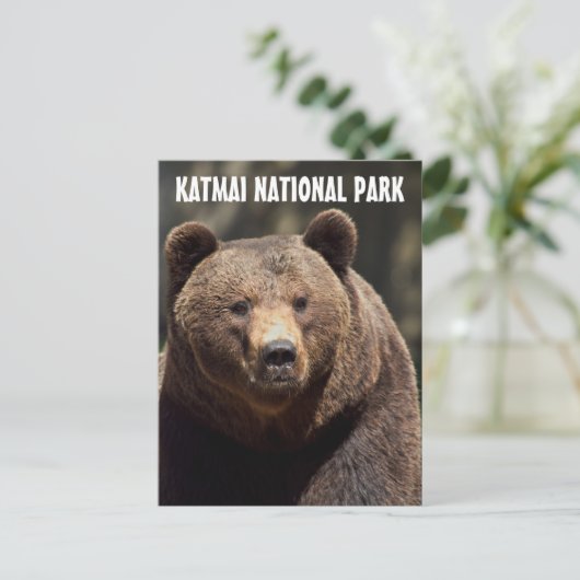 KATMAI NATIONAL PARK GRIZZLY BEAR POSTCARDS POSTKARTE (Stehend Vorderseite)