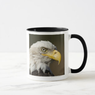 Katmai Nationalpark, Alaska Tasse