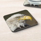 Katmai Nationalpark, Alaska Untersetzer (Linke Seite)