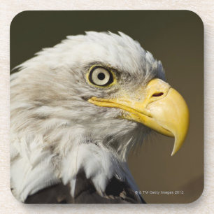 Katmai Nationalpark, Alaska Untersetzer