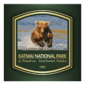 Katmai NP (PF1) Poster (Vorderseite)