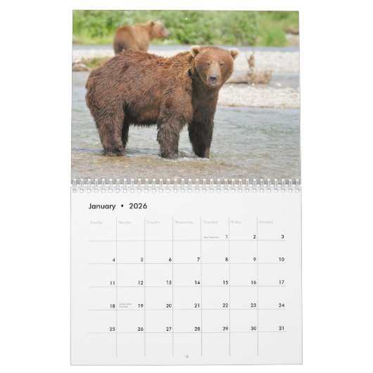 Katmai trägt Kalender (Jan 2026)