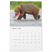 Katmai trägt Kalender (Feb 2027)
