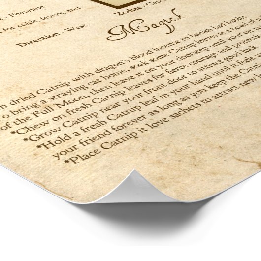 KATNIP MAGICK HERB POSTER (Ecke)
