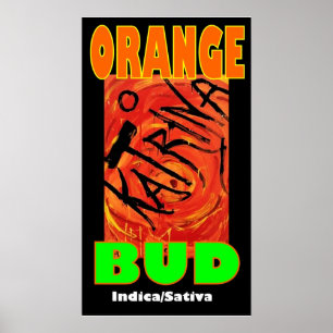 KATRINA ORANGE KNOSPE POSTER