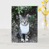 KATRONIN DER SCHWARZEN UND WEISSEN TÜRKISCHEN KARTE (Gelbe Blume)