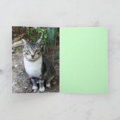 KATRONIN DER SCHWARZEN UND WEISSEN TÜRKISCHEN KARTE (Innenseite)