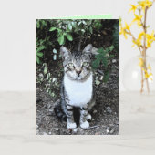 KATRONIN DER SCHWARZEN UND WEISSEN TÜRKISCHEN KARTE (Gelbe Blume)