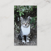 KATRONIN DER SCHWARZEN UND WEISSEN TÜRKISCHEN VISITENKARTE (Rückseite)