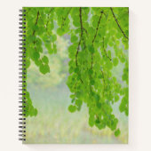 Katsura Tree Limbs in Springtime | Seabeck, WA Notizbuch (Vorderseite)