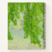 Katsura Tree Limbs in Springtime | Seabeck, WA Notizbuch (Rückseite)
