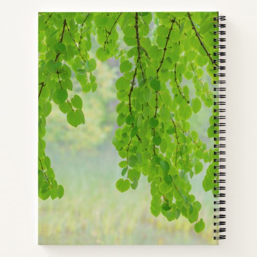 Katsura Tree Limbs in Springtime | Seabeck, WA Notizbuch (Rückseite)