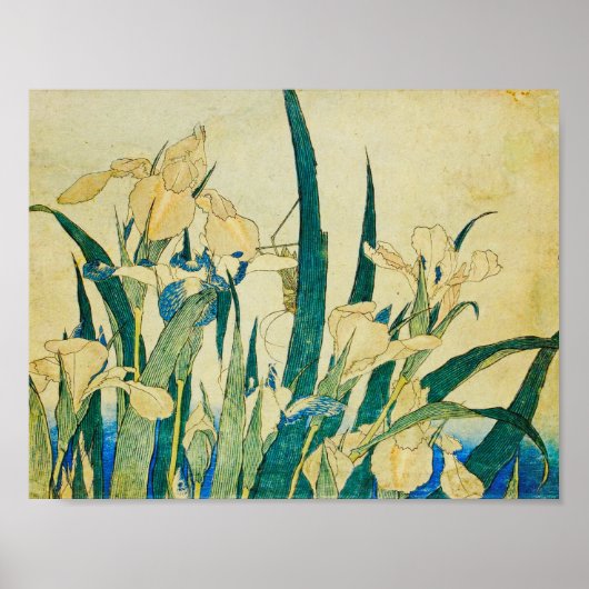 Katsushika Hokusai-blühende Ire und Grasshopp Poster (Vorne)