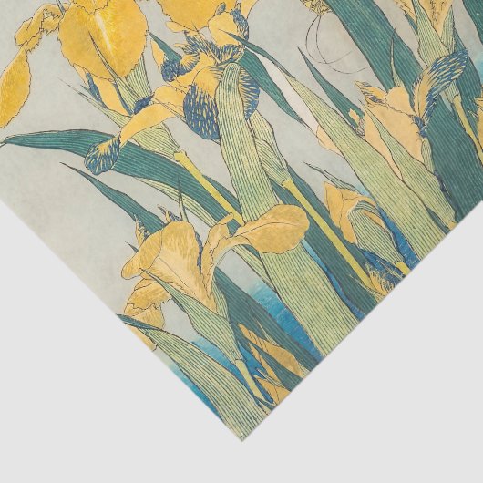 Katsushika Hokusai - Grasshopper und Iris Seidenpapier (Ausschnitt)