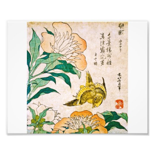 Katsushika Hokusai - Peony and Canary Fotodruck (Vorne)