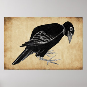 Katsushika Hokusais Crow 1814 Poster