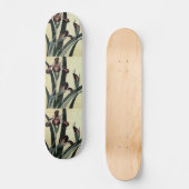 Katsushika Hokusais Ukiyo-e Woodcut Print: Irische Skateboard (Vorderseite)